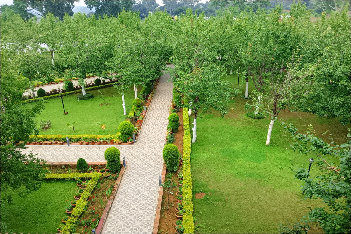 Lake View Resort Netarhat