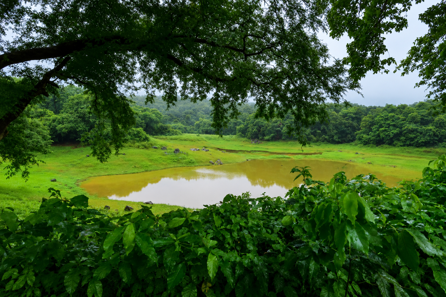 best tourism service provider in jamshedpur jharkhand LATEHAR TOURISM