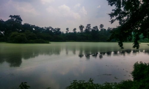 Kamaldah Pond Latehar