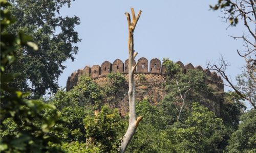 Palamau Fort Latehar